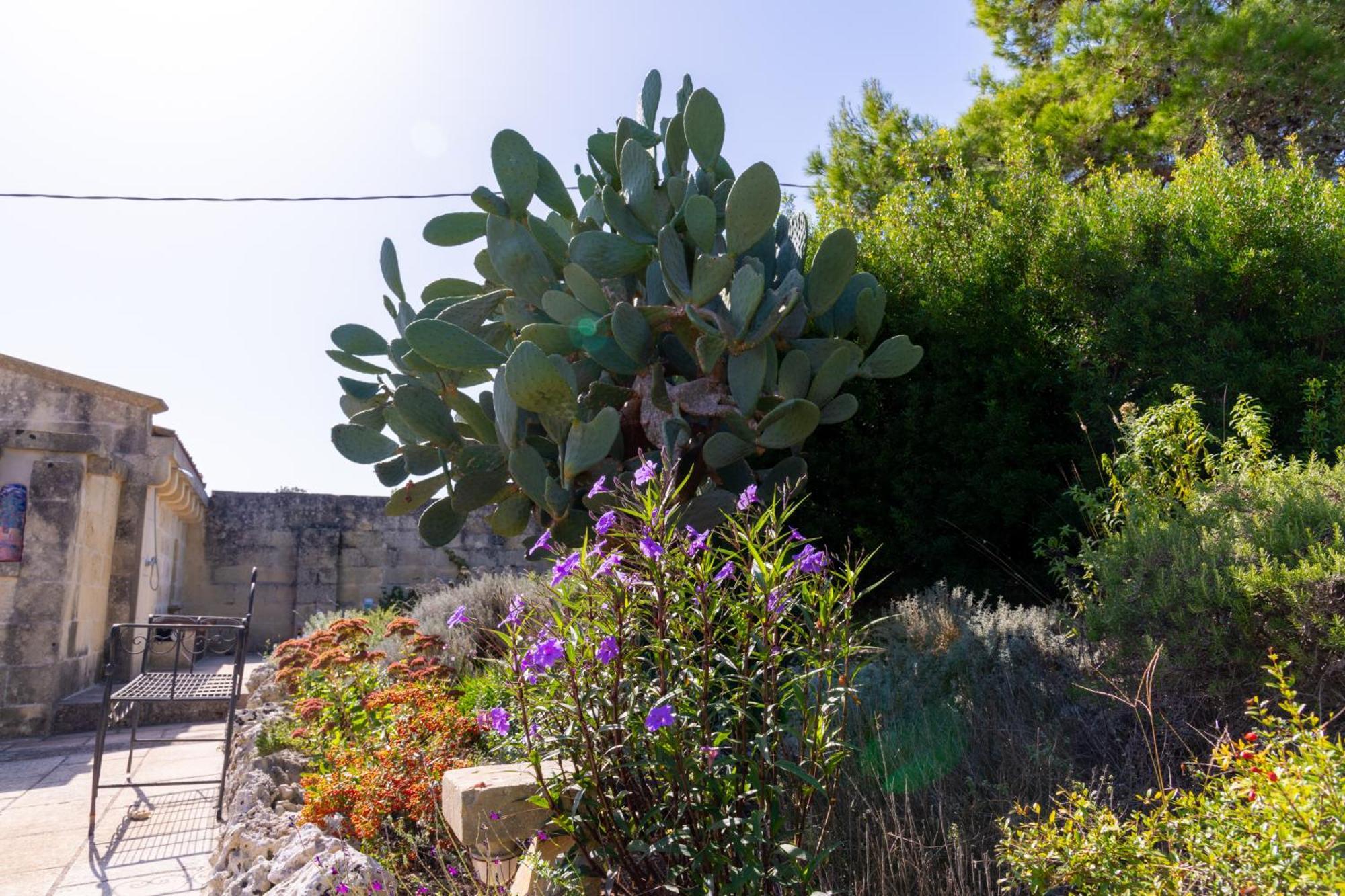 Masseria Caliani Borgagne Exterior foto